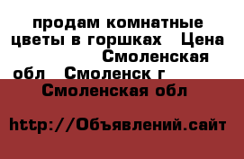 продам комнатные цветы в горшках › Цена ­ 250-400 - Смоленская обл., Смоленск г.  »    . Смоленская обл.